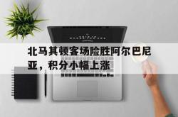 半岛体育官网入口-北马其顿客场险胜阿尔巴尼亚，积分小幅上涨