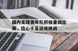 数据分析-国内足球青年队积极备战比赛，信心十足迎接挑战