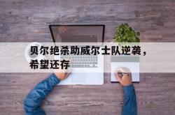 赛事直播-贝尔绝杀助威尔士队逆袭，希望还存